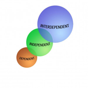Interdependent wisdom is about the interconnection of everything and ...