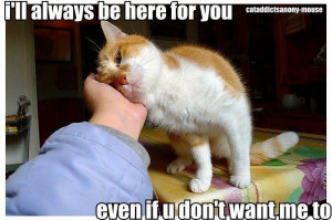 ll always be here for you....