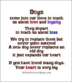 Quotes about dogs