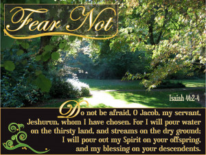 Fear Not Christian Photo inspirational quotes women