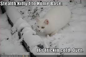 cold weather funny quotes