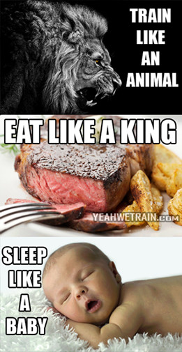 ... Quotes Train Like An Animal, Eat Like A King, Sleep Like A Baby