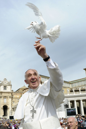 Who am I to judge?': The pope's most powerful phrase in 2013