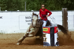 Barrel Racing Horses For Sale Appaloosa barrel horse for