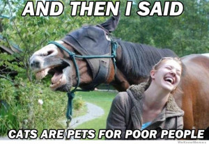 Smug Horse meme – And then I said cats are pets for poor people