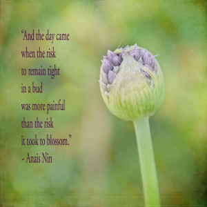 Anais Nin quote bud