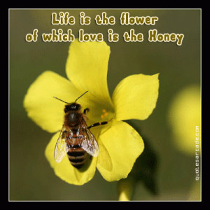 Life Is the Flower of which love is the Honey ~ Flowers Quote