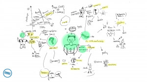 funkysuccess.comHappiness, the end result