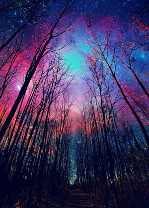 ... colorful, galaxy, i was born a champion, nature, night, sky, trees, un