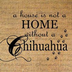 HOME wo CHIHUAHUA Text Word Calligraphy Digital Image Download Sheet ...