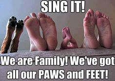 funny #quotes #cute #animals #dog #family #people #human #baby #son # ...
