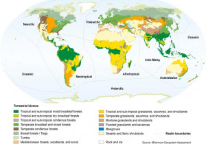 WWF_MA_biomes_map