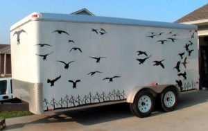 Steve's Trailer with Geese Decal all over it