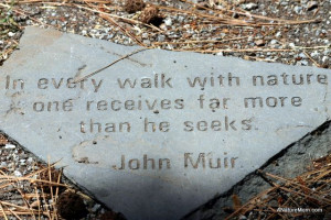 john muir quotes yosemite - Google Search