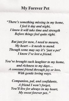 quotes for cat passing away - Google Search More