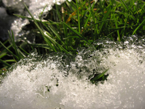 Melting Snow by rfduck