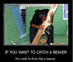 Catch_A_Beaver_funny_picture