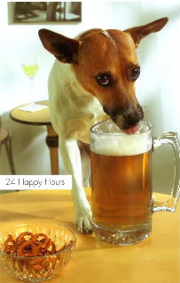 dog.jpg image by FindStuff2