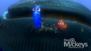 Go Back > Gallery For > Whale Finding Nemo