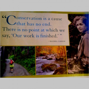Rachel Carson quote