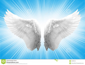 White angel wing in blue background.