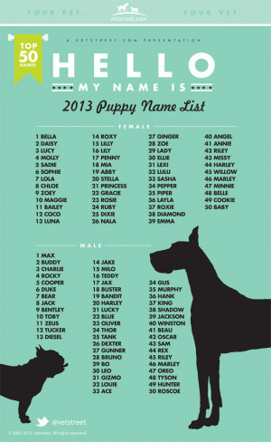 2013 Most Popular Puppy Name List