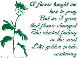 Petals - Mariah Carey Song Lyric Quote in Text Image