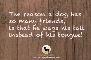 The reason a dog has so many friends is that he wags his tail instead ...