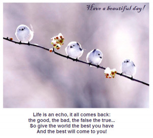 Have A Beautiful Day, Life Is An Echo, It All Comes Back The Good, The ...