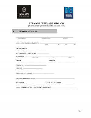 CV Modelo Multilaterales DOC DOC