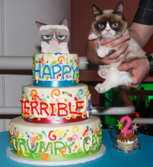 birthday grumpy cat turns one today grumpy cat cake grumpy cat2 happy ...