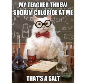 chemistry cat on Tumblr
