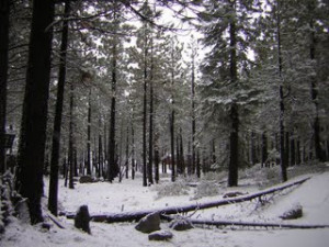 This blog is being managed by Abby and Ashley.