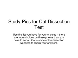 Funny Quotes Contact Dmca