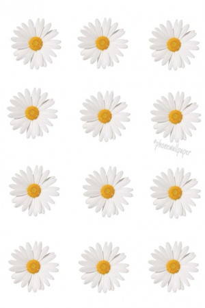background, daisy, mine, overlay, transparent, tumblr, wallpaper ...