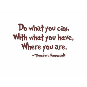 THEODORE ROOSEVELT Do What You Can Quote