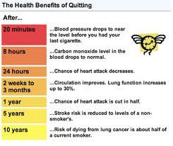 how to quit smoking the effects of smoking smoking smoking tobacco ...