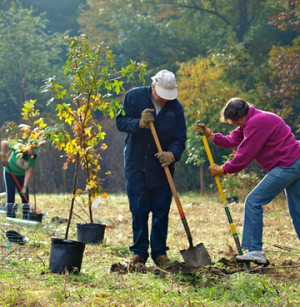 the National Arbor Day Foundation on various campaigns to plant a tree ...