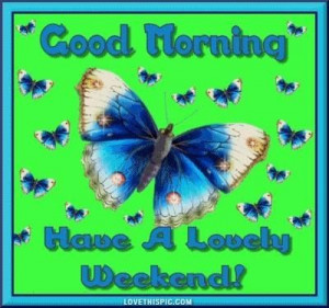 good morning quotes quote butterfly life good morning weekend
