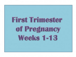 Learn more about the first trimester of pregnancy.