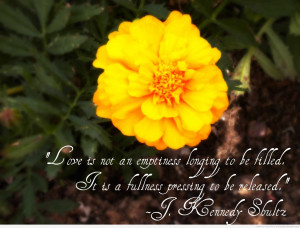 Flower Quotes flower Quotes