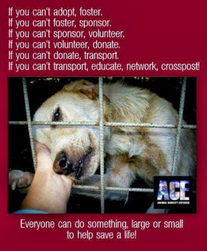 Please ADOPT a Shelter Animal and help stop Animal Cruelty