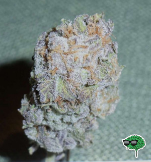 Purple Kush Marijuana...