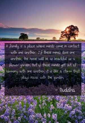 Best buddha quotes and sayings people family harmony