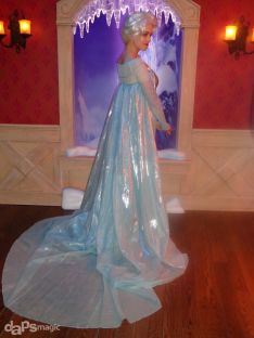 Elsa. Frozen. Disneyland Cast Member.Frozen Elsa, Disney Fever, Elsa ...