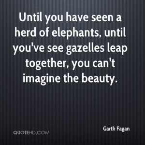 Until you have seen a herd of elephants, until you've see gazelles ...