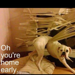 Found on Uploaded by user