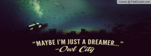 Owl City Profile Facebook Covers