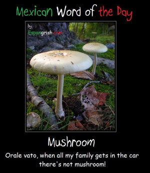 Mexican Word of the Day: Mushroom