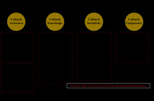 cultural competence model2